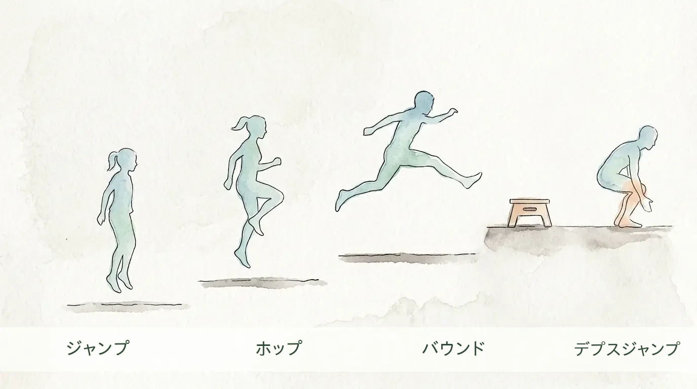 プライオメトリクスの強度を段階的に上げる進め方 両脚ジャンプ、片脚ホップ、前方へのバウンド、台から下りるデプスジャンプへと強度が段階的に上がっていく様子を4つのシルエットで示した段階図